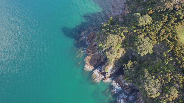 Wildheke sustainability page for plant-based and greywater safe body and home care made in New Zealand