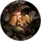 Horopito native New Zealand botanical used in Wildheke laundry and cleansing formulations